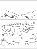 Krokodil kleurplaat 3