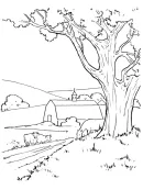 Landschap kleurplaat 3
