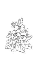 Lente kleurplaat 19
