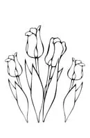 Lente kleurplaat 29