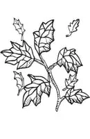 Natuur kleurplaat 26