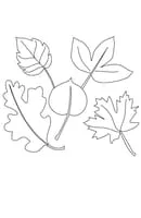 Natuur kleurplaat 27