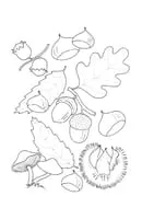 Natuur kleurplaat 3