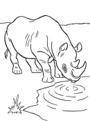 Neushoorn kleurplaat 1
