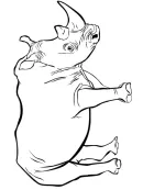Neushoorn kleurplaat 11