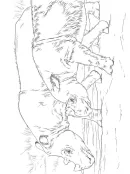 Neushoorn kleurplaat 14