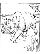 Neushoorn kleurplaat 2