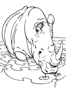 Neushoorn kleurplaat 4