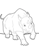 Neushoorn kleurplaat 6