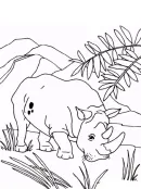 Neushoorn kleurplaat 7