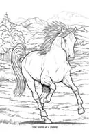 Paarden kleurplaat 13
