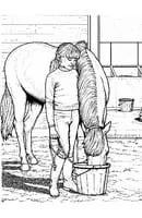 Paarden kleurplaat 14
