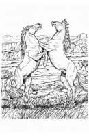 Paarden kleurplaat 18