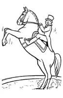 Paarden kleurplaat 2