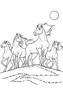 Paarden kleurplaat 34