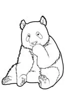 Panda kleurplaat 10