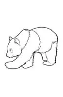 Panda kleurplaat 12