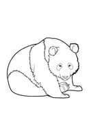 Panda kleurplaat 13
