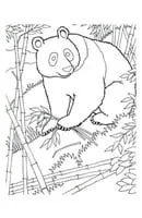 Panda kleurplaat 14