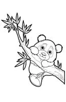 Panda kleurplaat 17