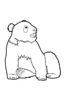 Panda kleurplaat 18