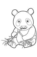 Panda kleurplaat 2