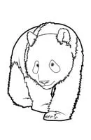 Panda kleurplaat 7