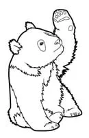 Panda kleurplaat 9