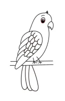 Papegaai kleurplaat 6