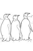 Pinguin kleurplaat 5