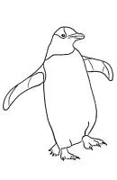 Pinguin kleurplaat 8