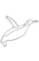 Pinguin kleurplaat 9