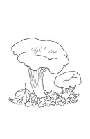 Planten kleurplaat 3