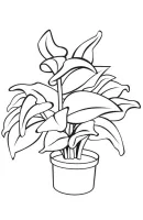 Planten kleurplaat 5