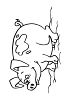 Varkens kleurplaat 9