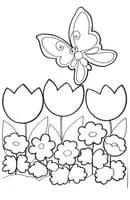 Vlinders kleurplaat 16