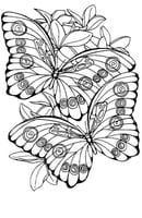 Vlinders kleurplaat 17