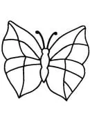 Vlinders kleurplaat 19