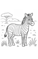 Zebra kleurplaat 10
