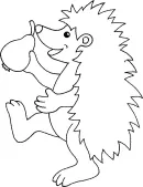 Zoogdieren kleurplaat 17