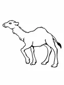 Zoogdieren kleurplaat 26