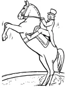 Zoogdieren kleurplaat 33