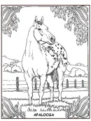 Zoogdieren kleurplaat 35