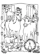 Zoogdieren kleurplaat 36