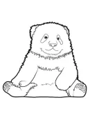 Zoogdieren kleurplaat 39