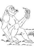 Zoogdieren kleurplaat 4
