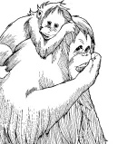 Zoogdieren kleurplaat 5