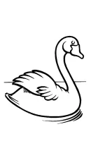 Zwanen kleurplaat 8