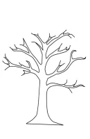 bomen kleurplaat 11