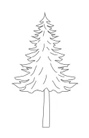 bomen kleurplaat 16